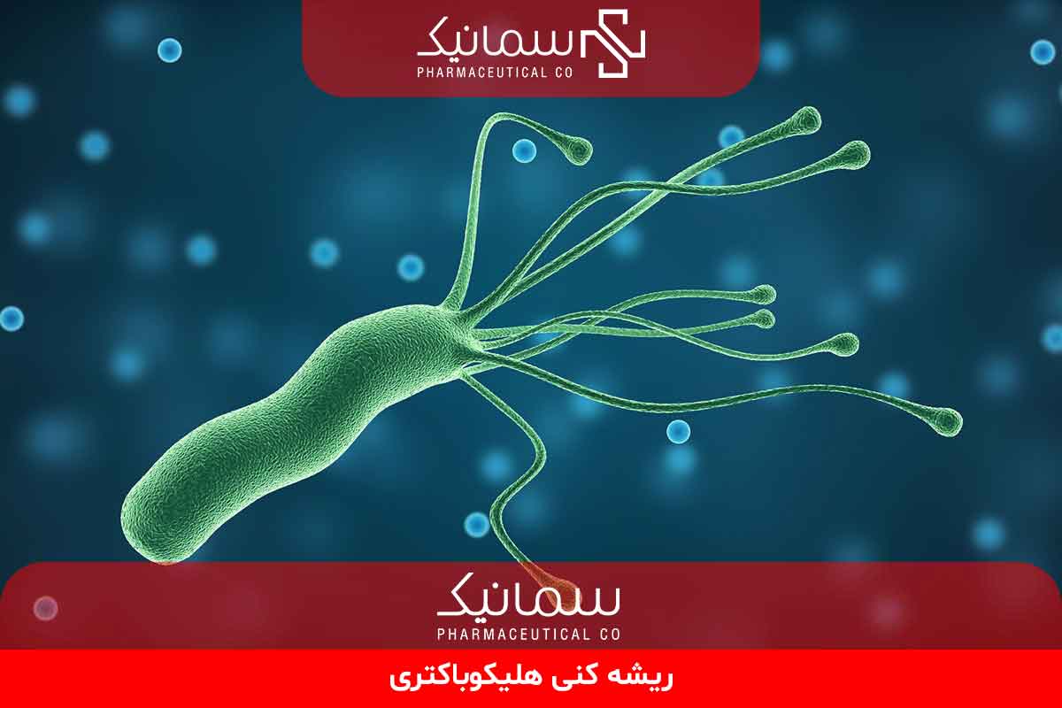 ریشه‌کنی هلیکوباکتر پیلوری