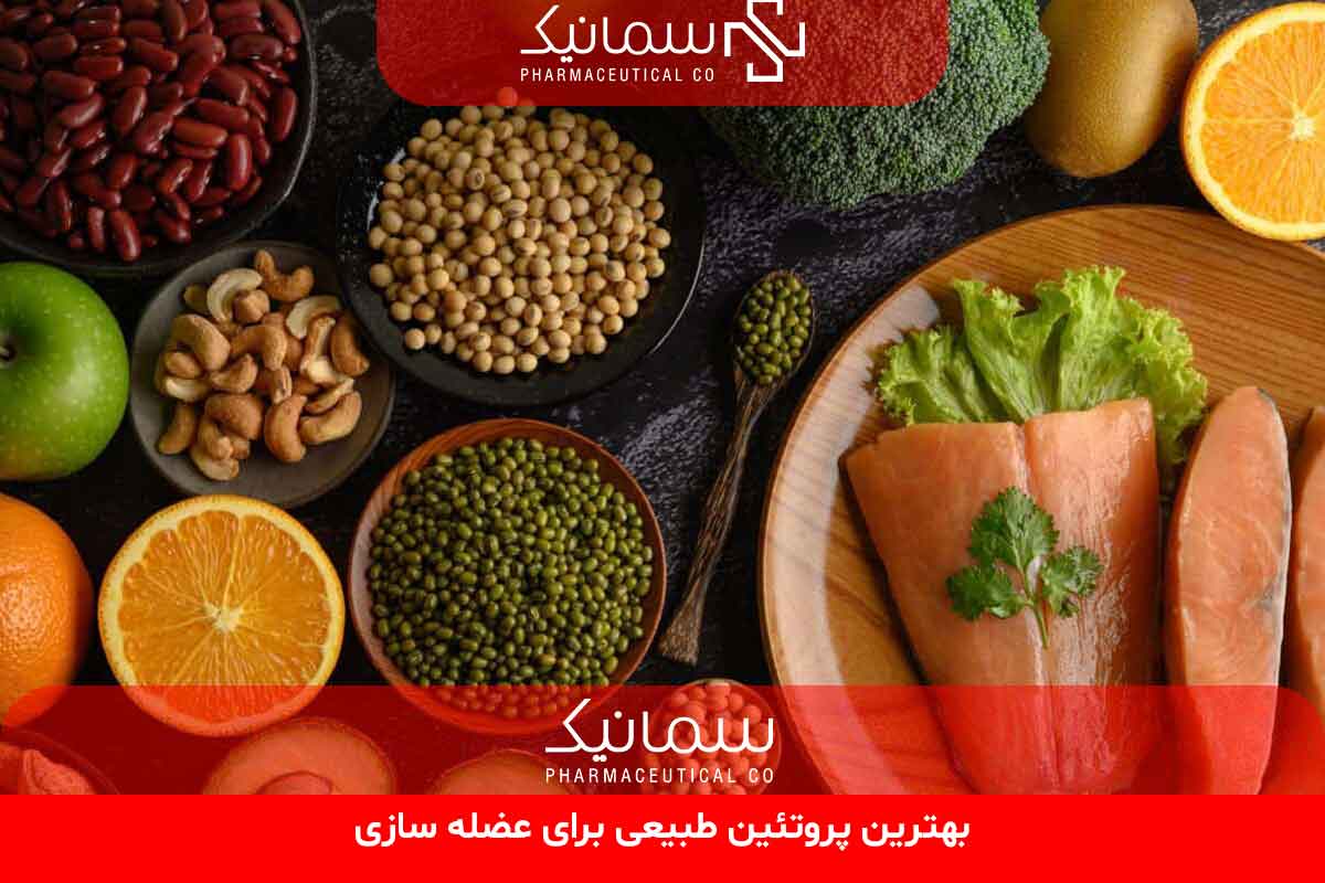 بهترین پروتئین طبیعی برای عضله سازی
