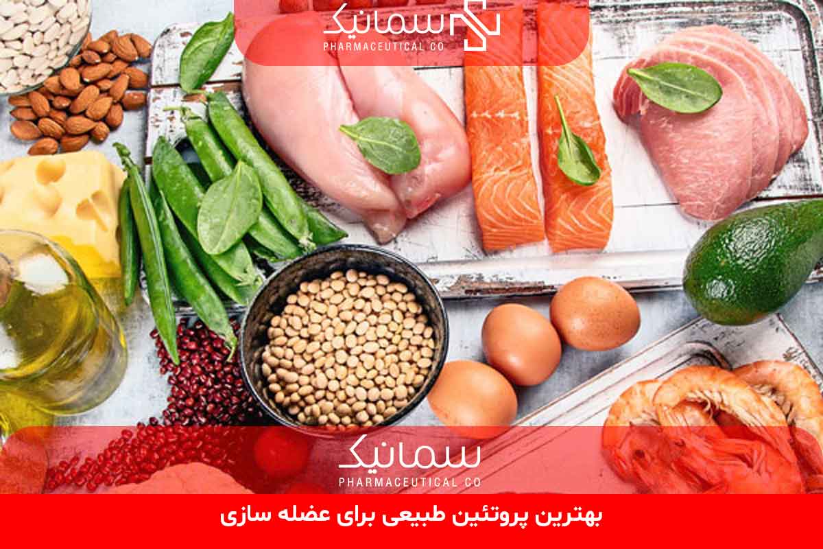 بهترین پروتئین طبیعی برای عضله سازی