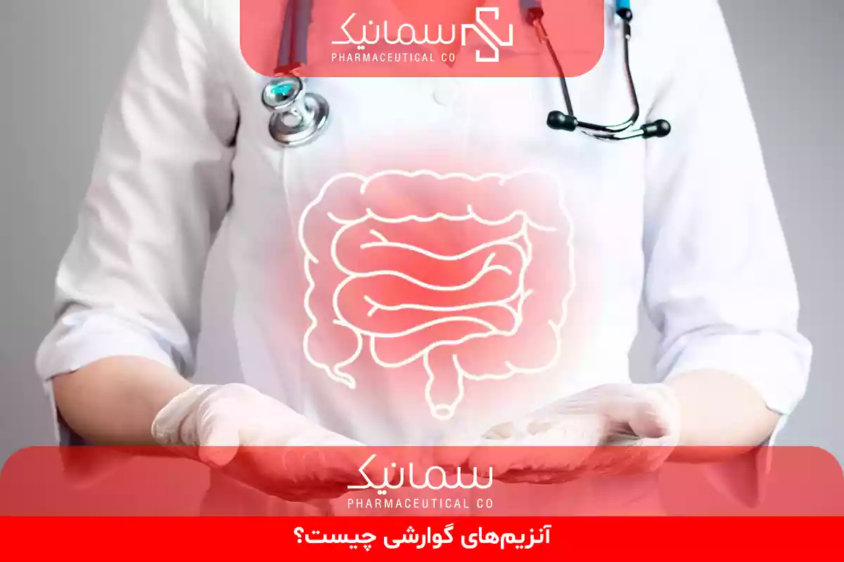 آنزیم‌های گوارشی
