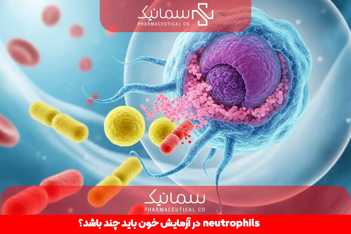 neutrophils در آزمایش خون باید چند باشد؟