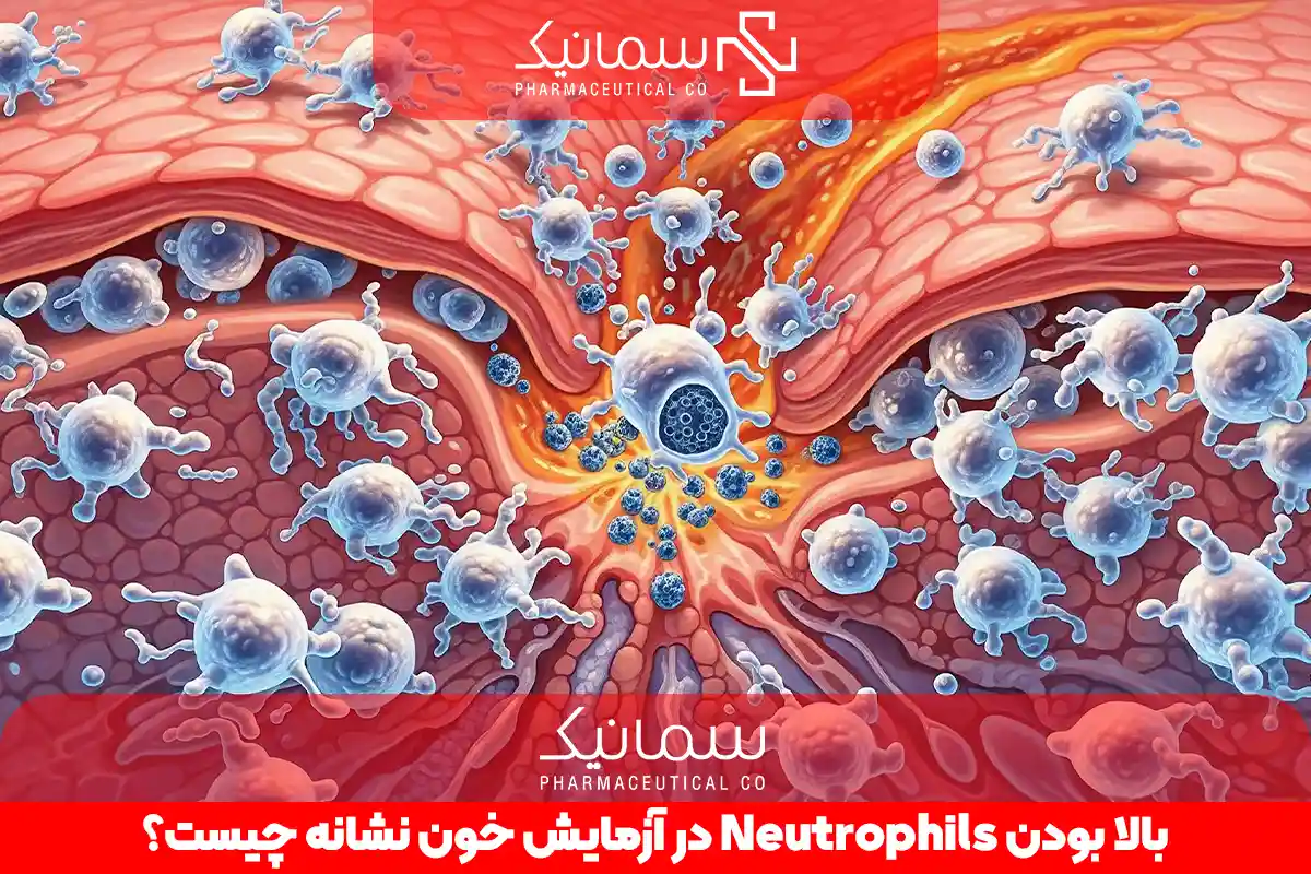 بالا بودن Neutrophils در آزمایش خون نشانه چیست؟