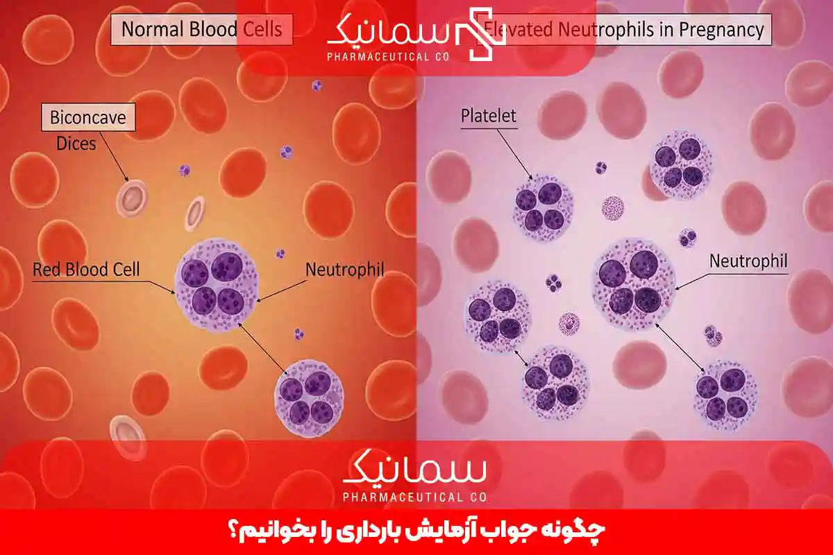 چگونه جواب آزمایش بارداری را بخوانیم؟