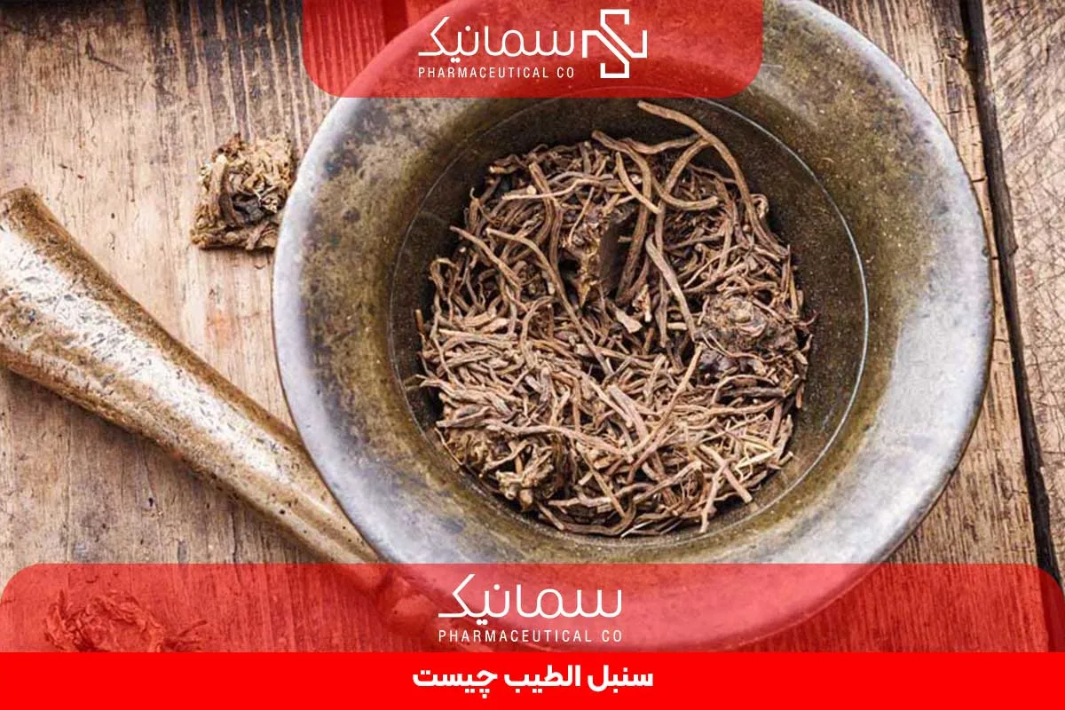 سنبل الطیب چیست