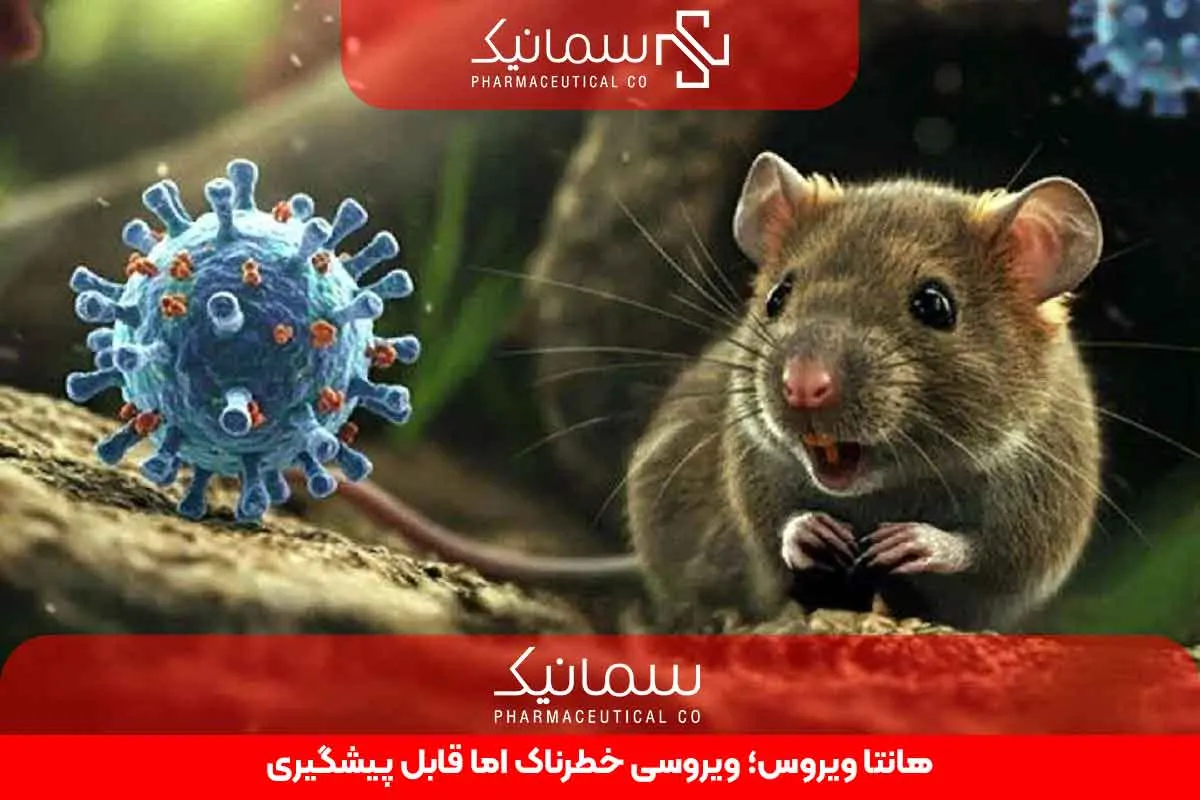 هانتا ویروس؛ ویروسی خطرناک اما قابل پیشگیری