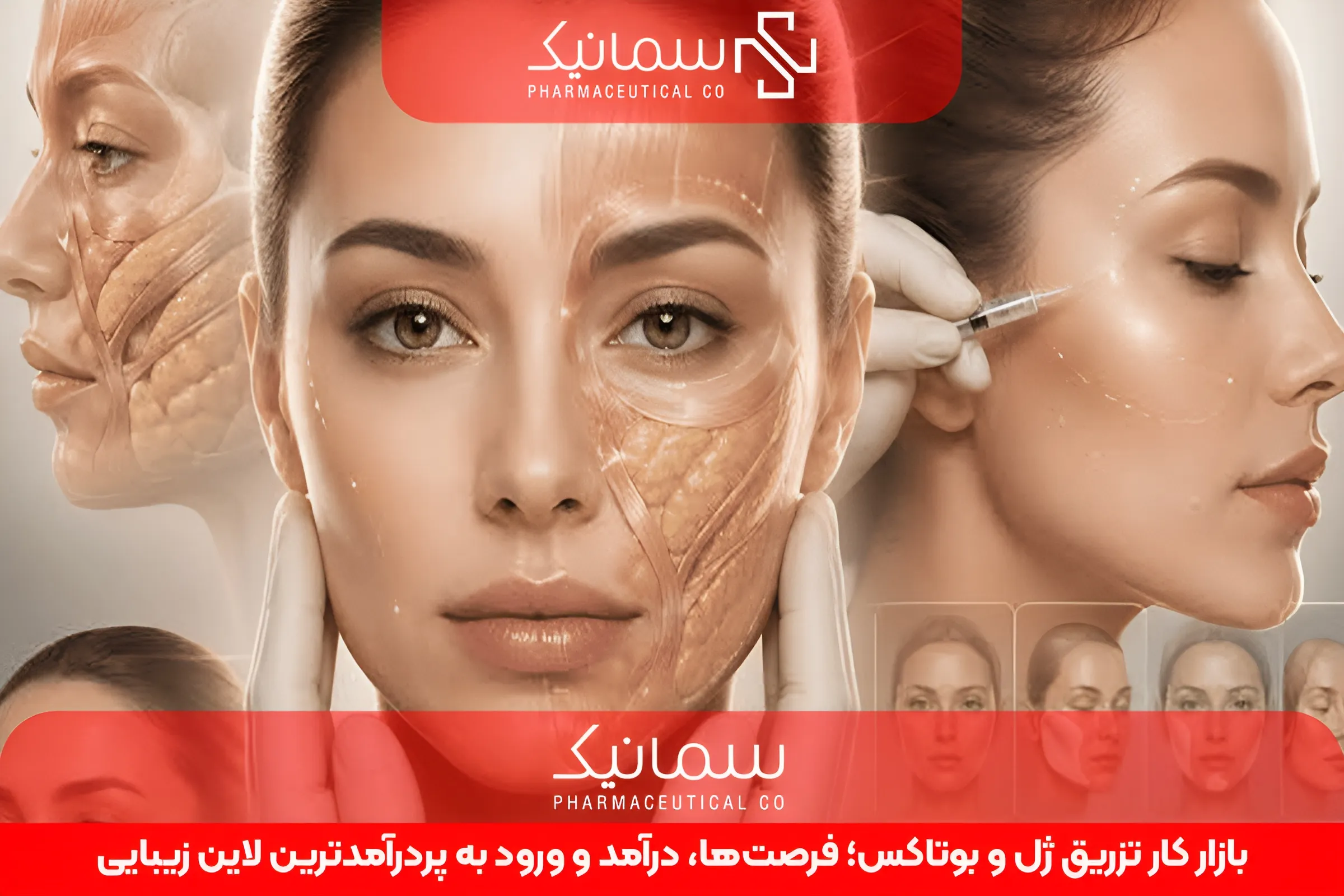 انتخاب بهترین دوره تزریق ژل و بوتاکس در ایران 