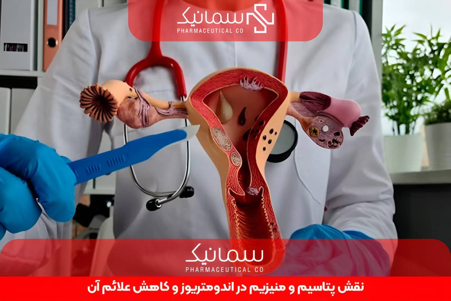 نقش پتاسیم و منیزیم در اندومتریوز و کاهش علائم آن؛ آنچه تحقیقات علمی درباره این 2 ماده معدنی می‌گویند