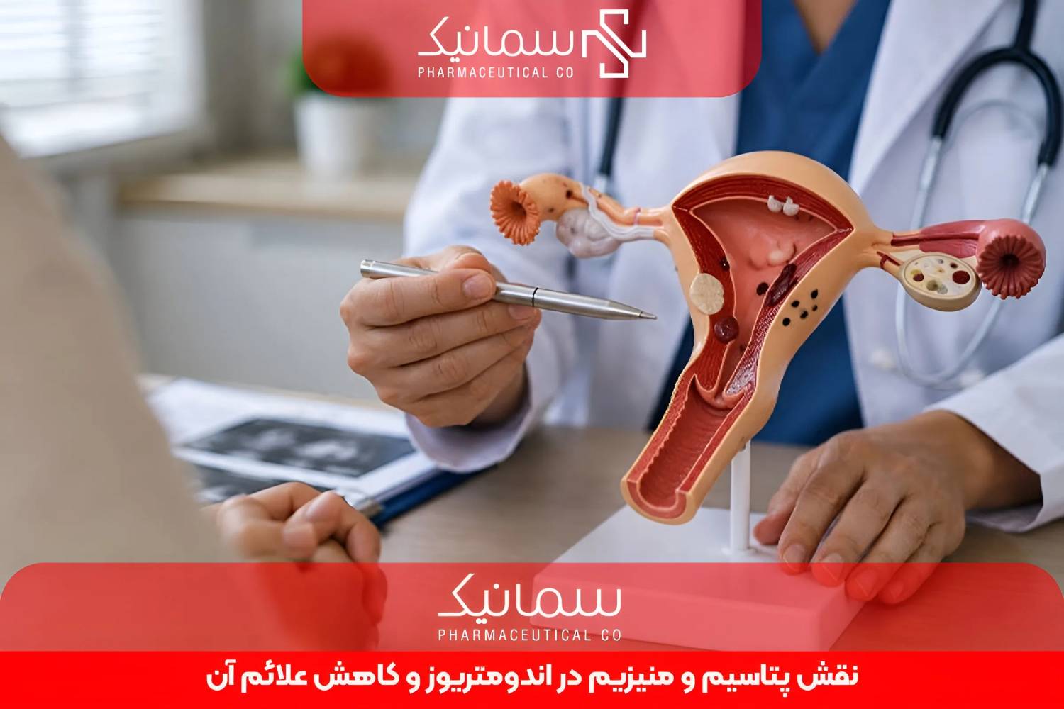 نقش پتاسیم و منیزیم در اندومتریوز و کاهش علائم آن؛ آنچه تحقیقات علمی درباره این 2 ماده معدنی می‌گویند