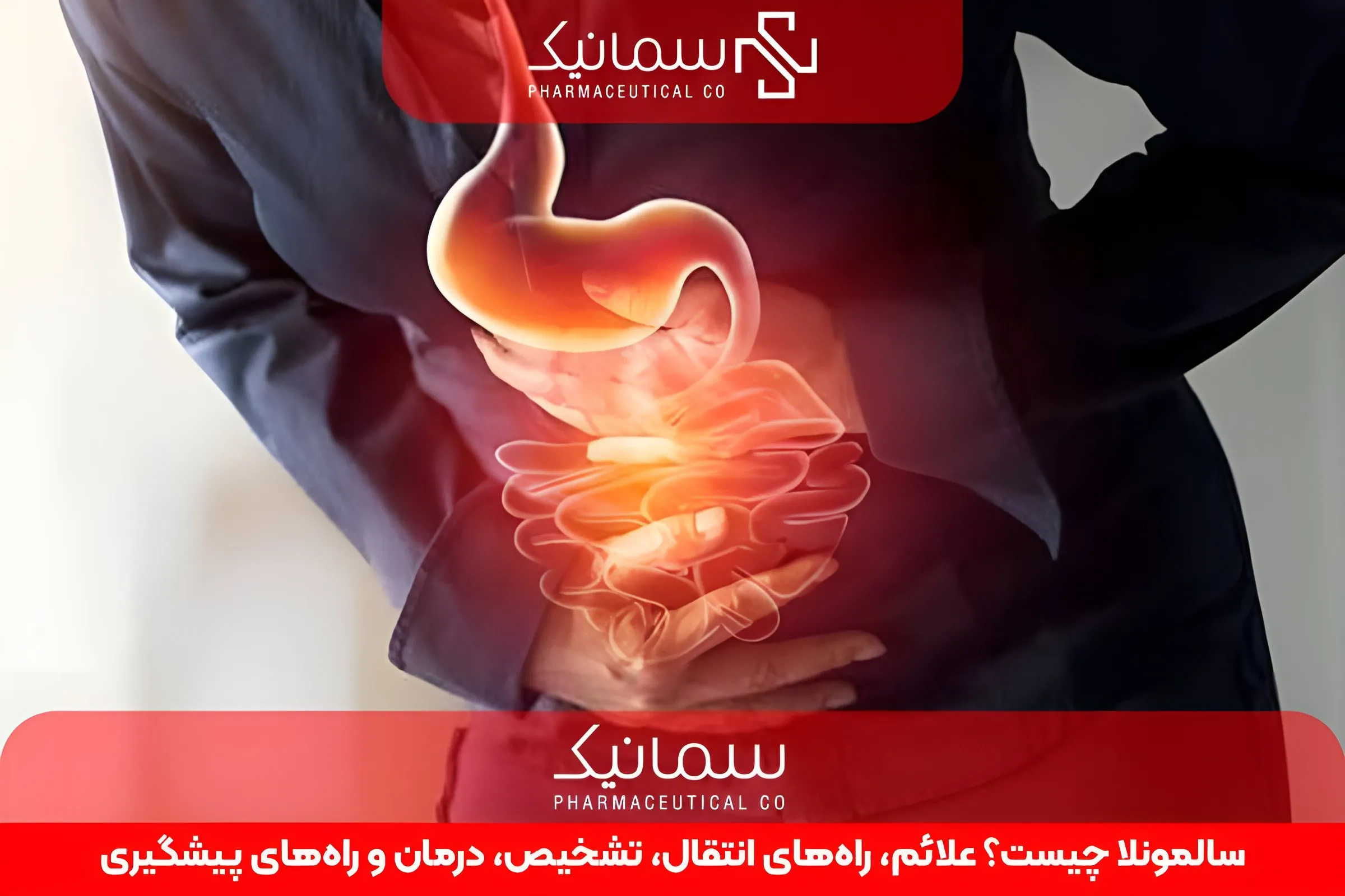 سالمونلا چیست؟ علائم، راه‌های انتقال، تشخیص، درمان و راه‌های پیشگیری